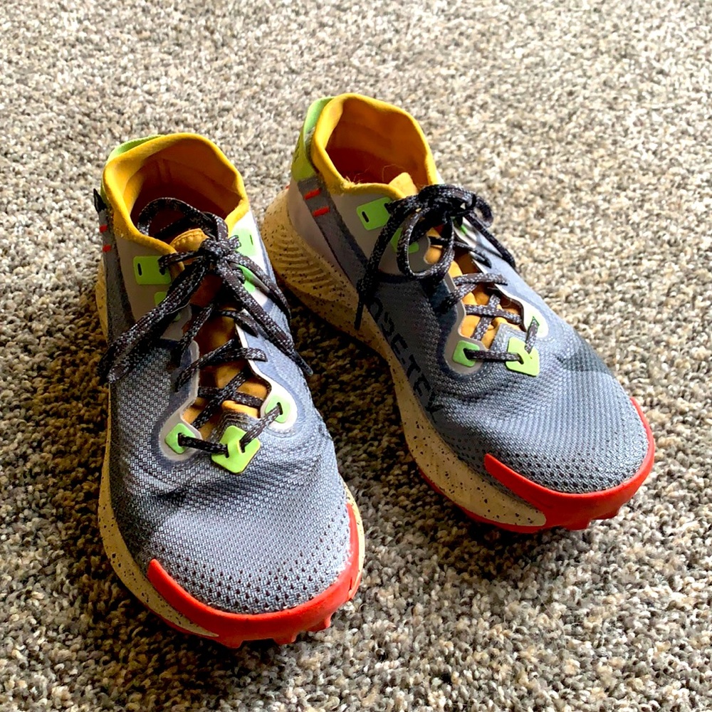 Nike Pegasus size 8.5 gore-Tex!